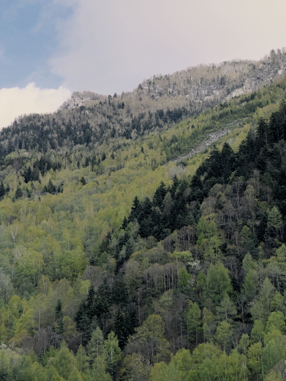 Valle Di Susa